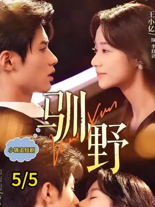 长夜灯下热播电视剧全集在线观看